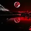 Mike Russ - @gatorescapee - TikTok
