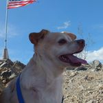 Mike Ryan - @mikrya60 - Instagram