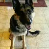 Mike Sabo - @mike.sabo5 - TikTok