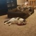Mike Sager - Facebook