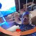 Mike Ariyo Sakwa - Facebook