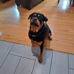Mike Salvi - @mike.salvi2 - Instagram