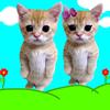 Mike é samy! <3 - @mike.samkkkjkk - TikTok
