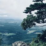 Mike Sandidge - @msandidg - Instagram