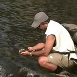 Mike  Sandifer - @msandifer56 - Instagram