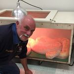 Mike Sasso - @_pickles_29 - Instagram