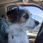 Mikey Sauls - @mikesauls - Instagram