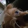 mike scheid - @mike.scheid6 - TikTok