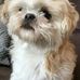 Mike Schilder - Facebook