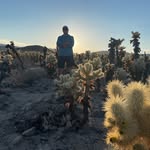 Mike Schiller - @mschiller33 - Instagram