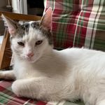 Mike Schirmer - @mike.schirmer.9003 - Instagram