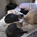 Mike Schoolcraft - Facebook