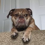 Mike Stephen - @mike_schoolcraft - Instagram