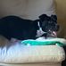 Mickey Schoonover - Facebook