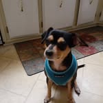 Mike Sealey - @sealeymike7 - Instagram
