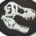 Mike Seiler - @trex_1873 - Instagram