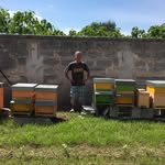 Mike Senior - @healthcoach_mike - Instagram