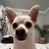 Mike Serrano - @mikeserrano20 - TikTok