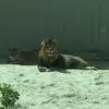 Mike Serrano - @mike.serrano77 - TikTok