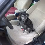 Mike Setzer - @jackpug44 - Instagram