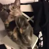 Mike Setzer - @mike.setzer - TikTok