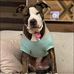 Mike Sevigny Jr. - Facebook