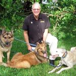 Mike Shamp - @dallasdogtrainers - Instagram