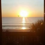 Mike Shank - @mike.shank.52 - Instagram