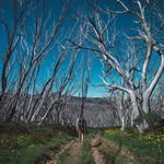 Mike Shankster - @mike_shankster - Instagram