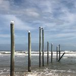 Mike Sharp - @sharp.mike - Instagram
