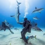 Mike Sheffield - @sheffield_mike - Instagram
