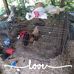 Mike Sheffield - Facebook