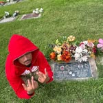 Mike Sheffield - @mikesheffield2600__ - Instagram
