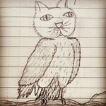 Mike Sherwin - @eyrie_owl - Instagram