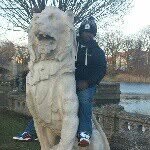 Mike Shine - @magic_mike_shine - Instagram