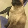 mikeshipley839 - @mikeshipley839 - TikTok