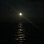 Mike Shivers - @mike.shivers4 - Instagram