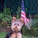 Mike Shrum - Facebook