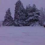 Mike Somerville - @somervillemike - Instagram