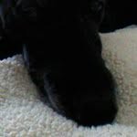 Mike Sopko - @soppydonzi - Instagram