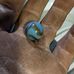Michael Spangler - Facebook