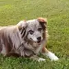 mike spaulding - @mike.spaulding - TikTok