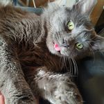 Mike Spears - @spears.mike - Instagram