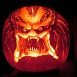 Mike Sperling - @sperling608 - Instagram
