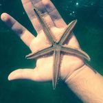 Mike Spitzer - @mike.spitzer.7 - Instagram