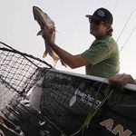 Mike Spratt - @sprattpala - Instagram