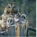 Mike Spratt - Facebook