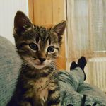 Mike Spring - @buebu19 - Instagram