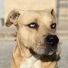 mike spring - @mike.spring1 - TikTok