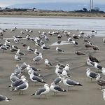 Mike Springman - @mike.springman.58 - Instagram